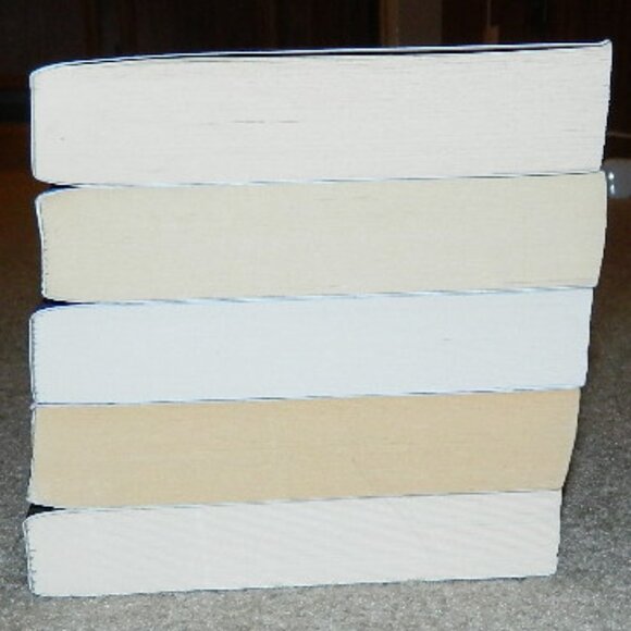 Louise Penny Lot of 5 Trade Paperback Books Bundle - Picture 4 of 7